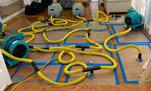 Professional Crawl Space Water Removal technician working in Olean, MO